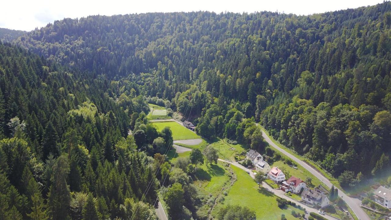 Ferienwohnung Saegemuehle Unterreichenbach Экстерьер фото