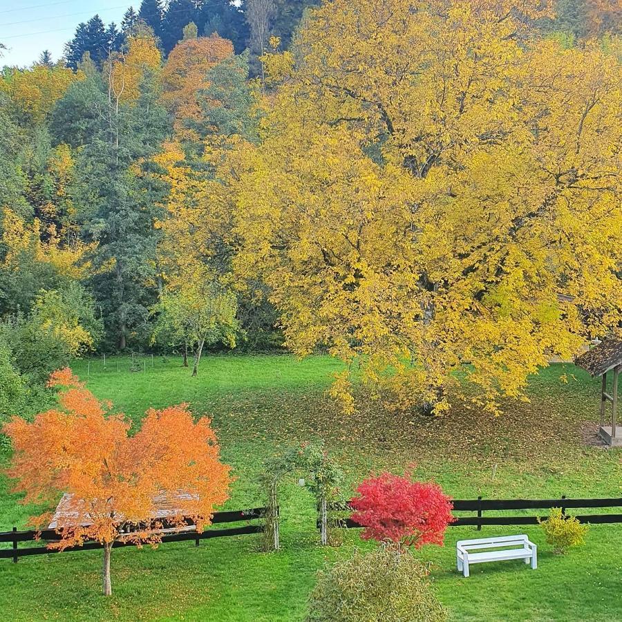 Ferienwohnung Saegemuehle Unterreichenbach Экстерьер фото